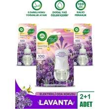 Elektrikli Oda Kokusu Seti Lavanta (1 Kit 2 Yedek)