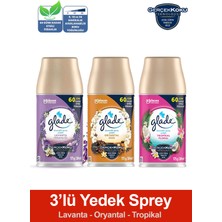Oda Kokusu Yedek Sprey Lavanta Ferahlığı, Oryantal, Tropikal Floral, 3 x 269 ML./175GR.
