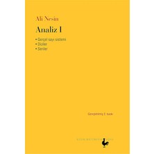 Analiz 1