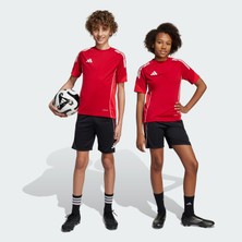 Adidas Performance JI6487 Tiro 25 Competition Kids Antrenman Şortu