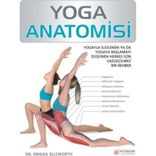 Yoga Anatomisi