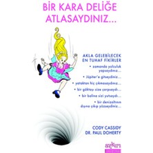 Bir Kara Deliğe Atlasaydınız