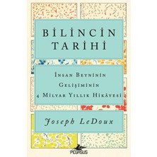 Bilincin Tarihi: Insan Beyninin Gelişiminin 4 Milyar Yıllık Hikayesi