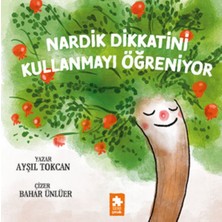 Nardik Dikkatini Kullanmayı Öğreniyor