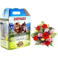 Catmozz Spring Doğal Organik Çam Peleti Kumu Bahar Kokulu 10 Lt Orijinal Paket