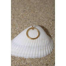 Piercing Cerrahi Çelik Piercing Sıkıştırma Halka Kıkırdak Septum Tragus Conch Helix Gold Renk Yaylı