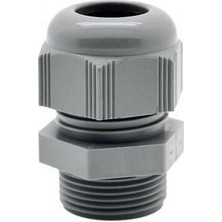 Mutlusan Pano Rekoru 11 Lik