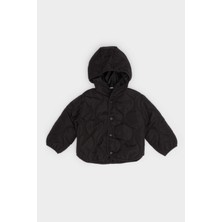 DeFacto Erkek Bebek Su Geçirmez Kapüşonlu Çıtçıtlı Kapitoneli Mont E8234A525AU