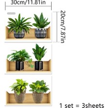 Kaufhier Raflı Bitki Tasarımlı Yapışkanlı Sticker 20*30 cm 3lü Set