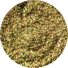 Makarna Çeşnisi 500 gr