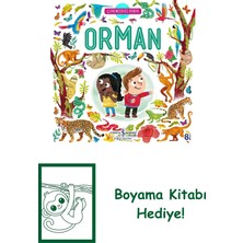 Çevremizdeki Dünya Orman + Boyama Kitabı
