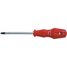 Pro-Scr 02581 Yıldız Uçlu Tornavida 6X100 mm