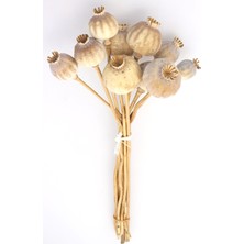 Yapay Çiçek Deposu Papaver Otu Demeti – Kumaş, Doğal Renk, Gerçekçi Görünüm, Ev ve Ofis Dekoru, 35 cm