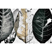 Aden Dekoratif Yapraklar Kanvas Tablo