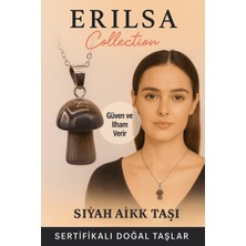 Sertifikalı Mantar Model Siyah Akik Taşı Kolye - Güç ve Ilham Veren Doğal Taş