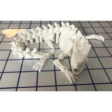 Yeni Iskelet Ejderha  (Sadece Plastik Aparattır!!!)