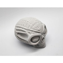 Yeni Mumyalanmış Uzaylı Kafatası P (Sadece Plastik Aparattır!!!)