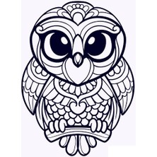 Yeni Güzel Baykuş Mandala Art (Sadece Plastik Aparattır!!!)