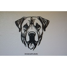 Yeni Big Boi - Duvar Sticker Art (Sadece Plastik Aparattır!!!)