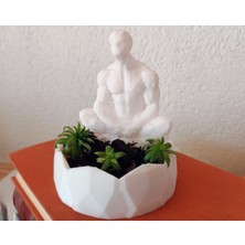 Yeni Meditasyon Sculpt Ekici/konteyner (Sadece Plastik Aparattır!!!)