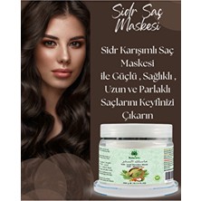 Tulip Life 250 gr Sidr Saç Maskesi Yumuşatıcı ve Güçlendirici Özellikte Hızlı Saç Uzatıcı Kadın Kullanımı İçin