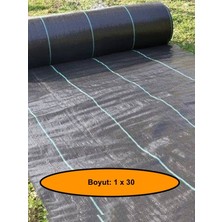 NetBazaars Jut Zemin Kaplama Malzemesi, Çim Çıkarmaz, 1X30 Metre