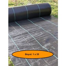 NetBazaars Jut Zemin Kaplama Malzemesi, Çim Çıkarmaz, 1X35 Metre