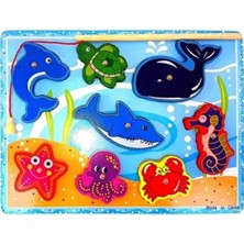  eğitici mıknatıslı balık tutma oyunu