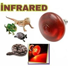 AKDEREPET Isıtıcı Lamba Infrared 250 Watt Lamba