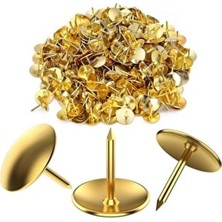 Biotech Perçinli Raptiye Harita Mantar Pano Şapkalı Çivisi Pünez 200 Adet