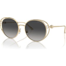 Jimmy Choo Güneş Gözlüğü JC4003HB 53 30068G