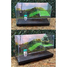 Fauna Pet Supplies Su Kaplumbağası Akvaryumu Bahçeli Rampalı Dinlenme Alanlı Full Cam Işık Motor Arkaplan Kum Yem