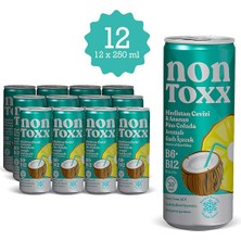 NON TOXX Nontoxx Hindistan Cevizi & Ananas Aromalı, Sirkeli, Gazlı İçecek 250 ML