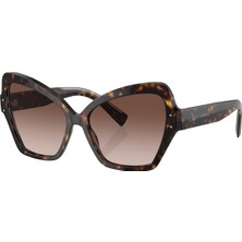 Dolce & Gabbana Güneş Gözlüğü DG4463F 56 502/13