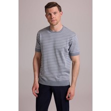 Ysf Erkek Mavi Regular Fit Bisiklet Yaka Çizgili Tişört