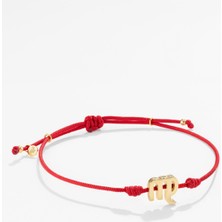 Gümüş Başak Burcu Kırmızı Bileklik