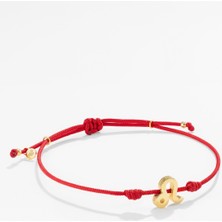 Gümüş Aslan Burcu Kırmızı Bileklik