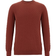 Bisiklet Yaka Slim Fit Dar Kesim Desenli Pamuklu Kaşmirli Triko Kazak