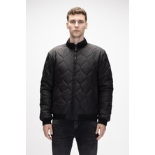 Down Brussel Si̇yah Erkek Mont