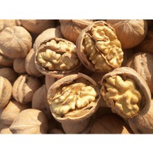 Double Boy Kabuklu Ceviz Yerli Yeni Mahsül Ince Kabuk 1kg