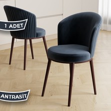 Risa Serisi 1 Adet Antrasit Mutfak Sandalyesi Kahverengi Metal Ayak 1.sınıf Babyface Kumaş