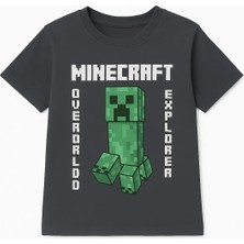 Mınecraft Erkek Çocuk Pamuklu Tişört