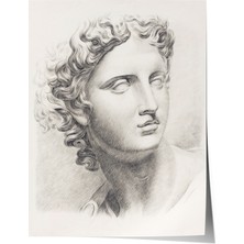 Çerçevesiz Poster, Klasik Heykel Portresi Çizim, Ofis Dekoru Poster No: 113633