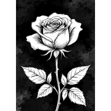 Bedeko Siyah Beyaz Gül Resmi Ahşap Tablo