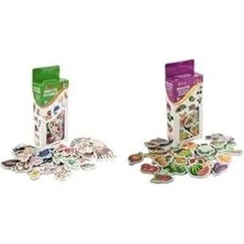 Eğitici Manyetik Hayvanlar + Manyetik Meyveler Sebzeler