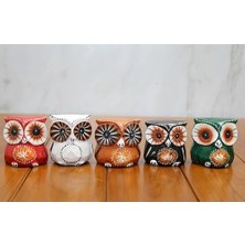 Ahşap 5'li Baykuş Seti Model 3