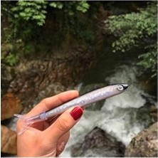 Tükenmez Hamsi Kalem