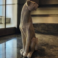 Dokulu Büyük Panter