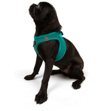 Tailpetz Air-Mesh Harness Köpek Göğüs Tasması Small Zümrüt