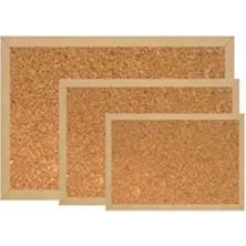 Naturel Mantar Pano 60X90 cm Mdf Çerçeve